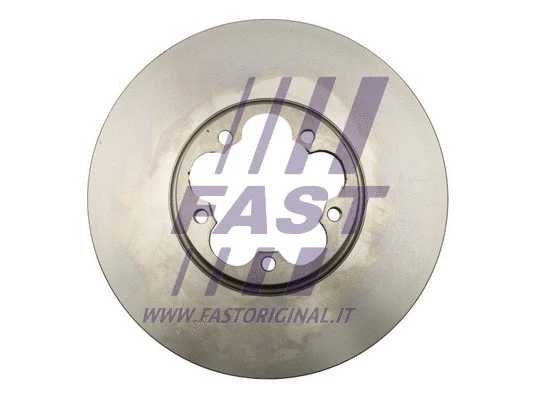 Brake Disc (FT31009)