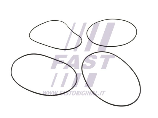 O-Ring Set, cylinder sleeve (FT50751)