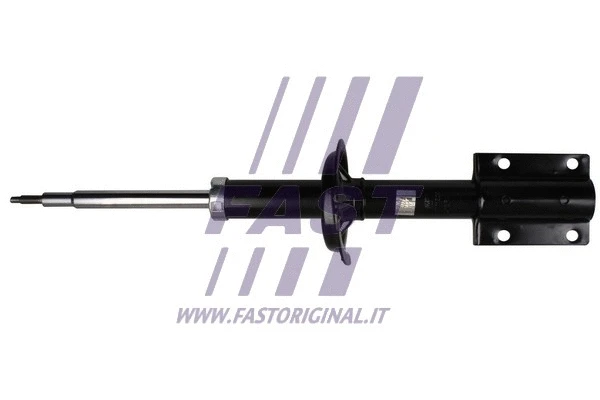 Shock Absorber (FT11009)
