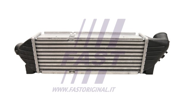 Charge Air Cooler (FT55596)