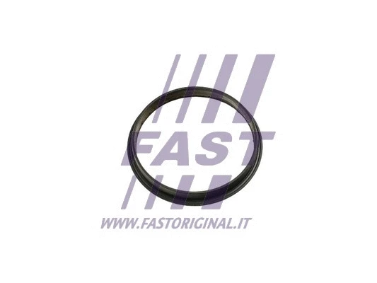 Gasket, vacuum pump