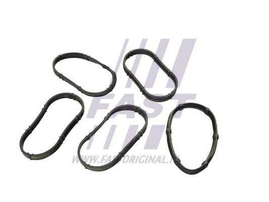 Gasket, intake manifold (FT49456)