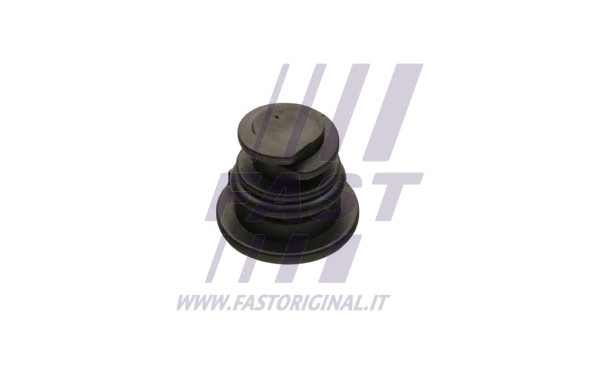 Screw Plug, oil sump (FT49505)