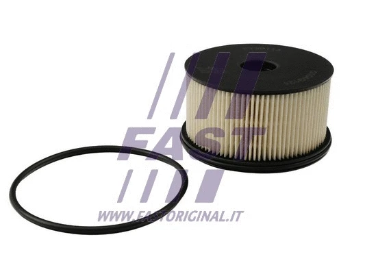 Fuel Filter (FT39113)