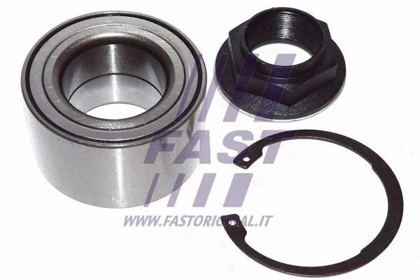 Wheel Bearing (FT21100)