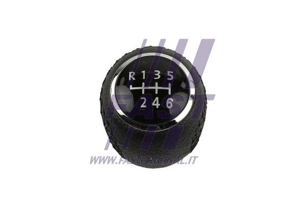 Gear Shift Lever Knob (FT73226)