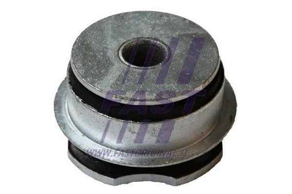 Bushing, axle beam (FT18018)