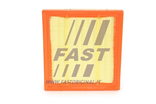 Air Filter (FT37103)