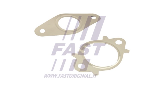 Gasket, EGR valve (FT50611)