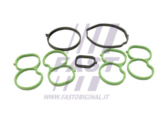 Gasket, intake manifold (FT49455)