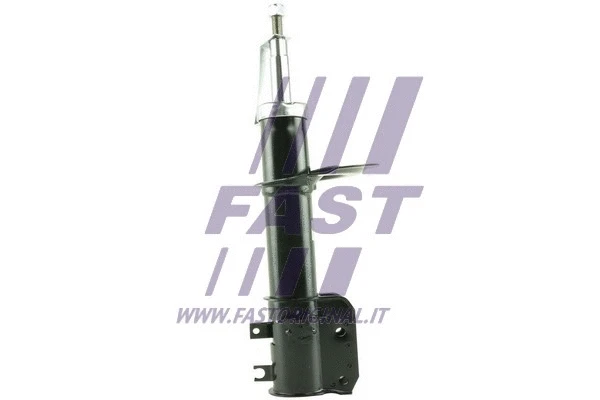 Shock Absorber (FT11095)