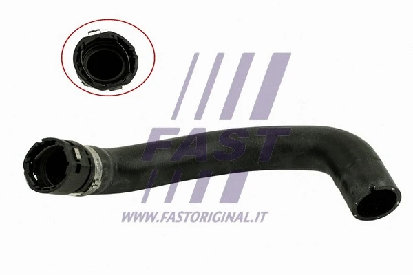 Radiator Hose (FT61003)