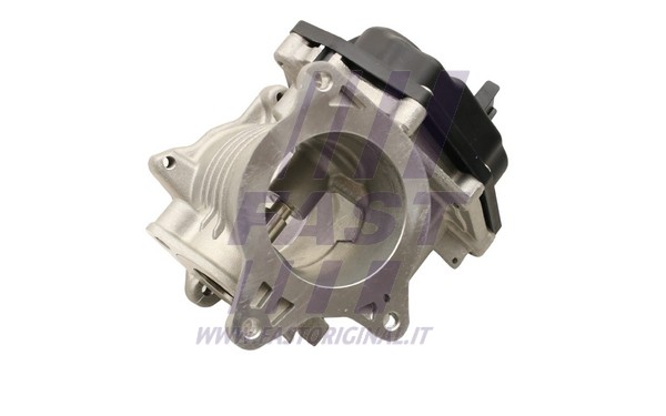 EGR Valve (FT60241)