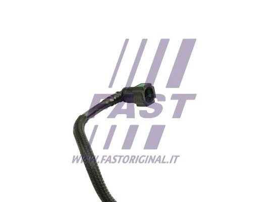 Fuel Line