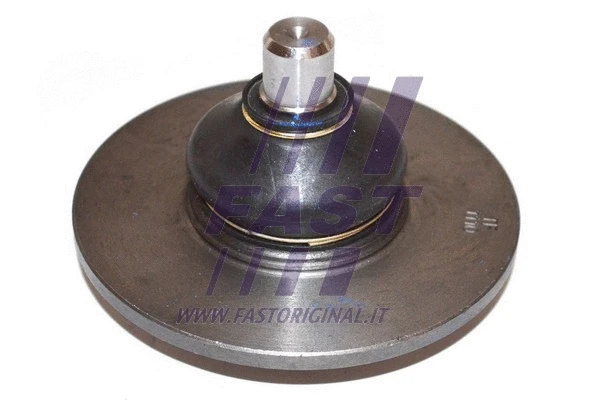 Ball Joint (FT17111)