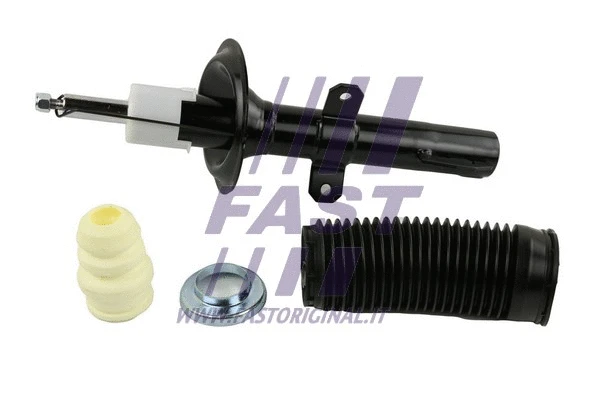 Shock Absorber (FT11308)