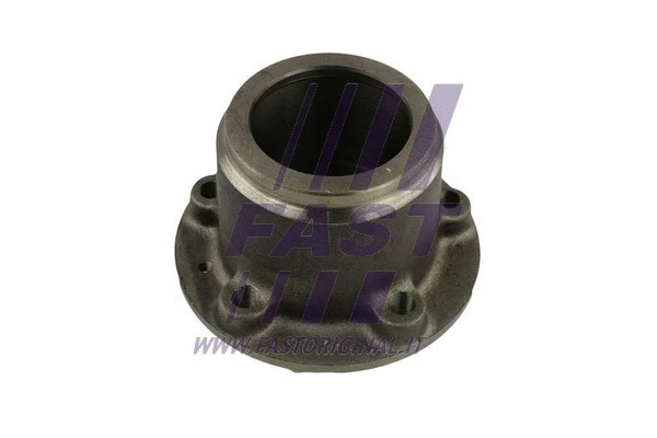 Wheel Hub (FT24058)