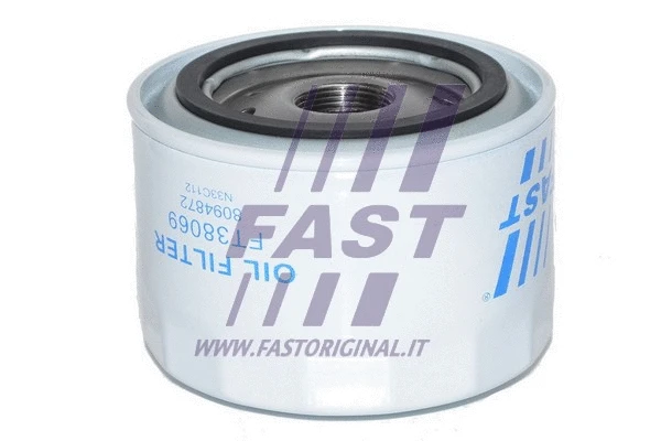 Oil Filter (FT38069)