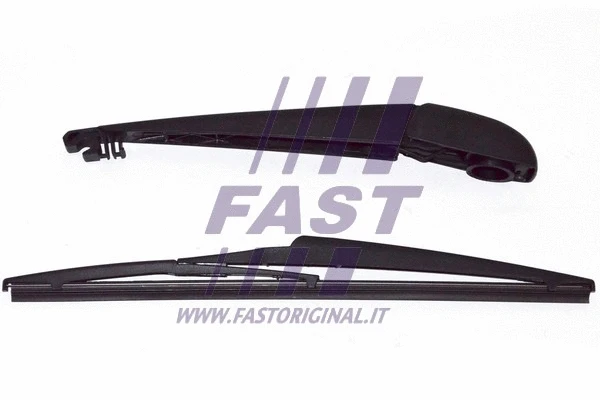 Wiper Arm, window cleaning (FT93325)