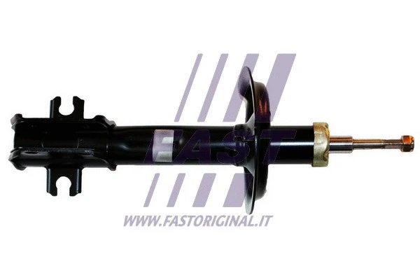 Shock Absorber (FT11012)