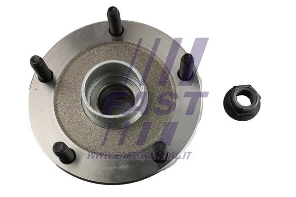 Wheel Bearing Kit (FT24063)