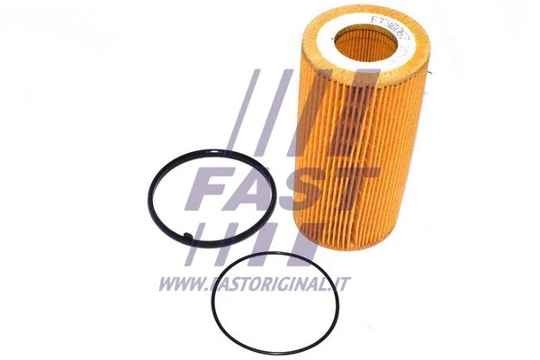 Oil Filter (FT38067)