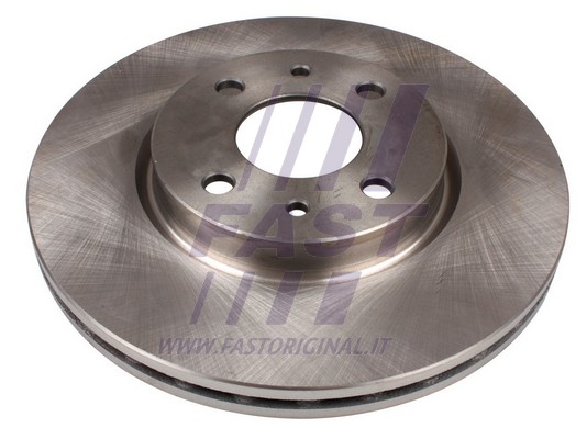 Brake Disc (FT31023)