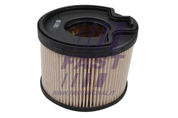 Fuel Filter (FT39068)