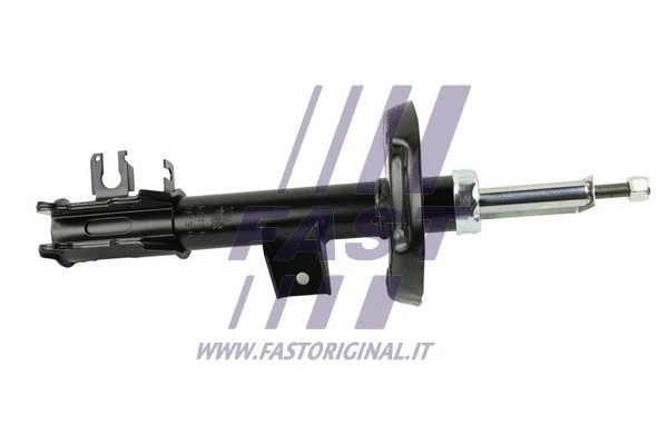 Shock Absorber (FT11247)