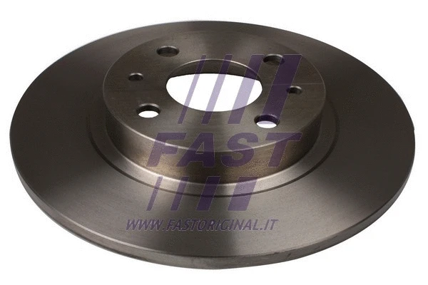 Brake Disc (FT31004)