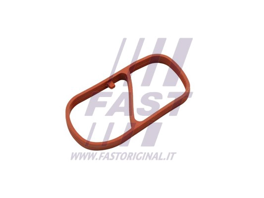 Gasket, intake manifold (FT49454)