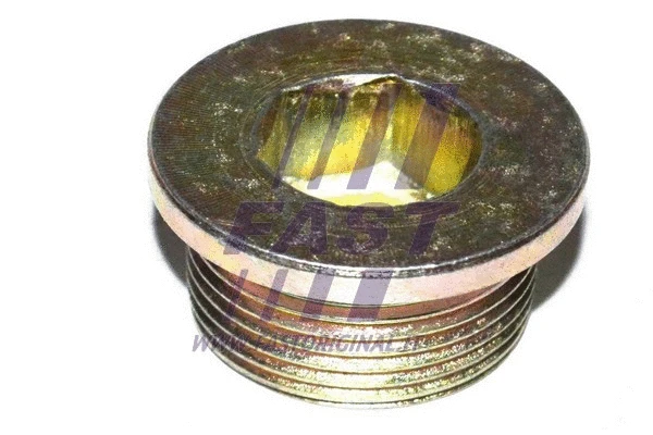Screw Plug, oil sump (FT94717)