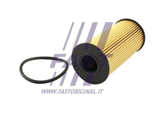 Oil Filter (FT38031)