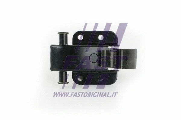 Door Check (FT95611)