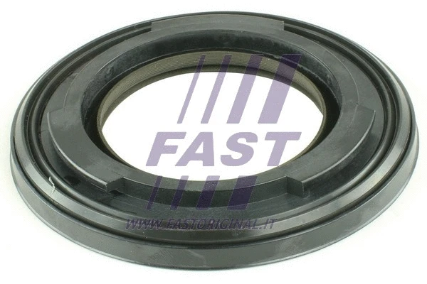 Shaft Seal, differential (FT49812)