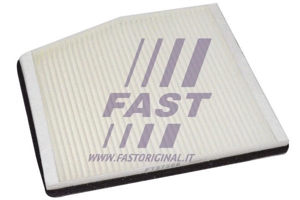 Filter, cabin air (FT37308)