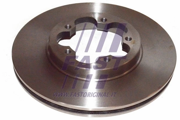 Brake Disc (FT31113)