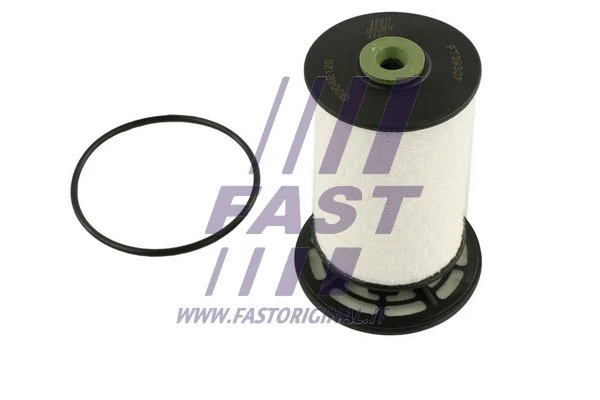 Fuel Filter (FT39307)