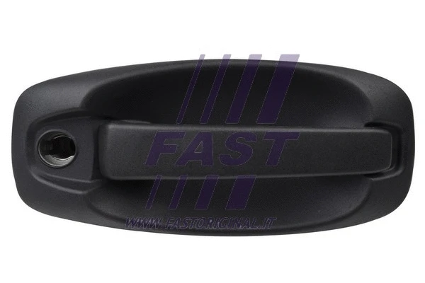 Exterior Door Handle (FT94555)