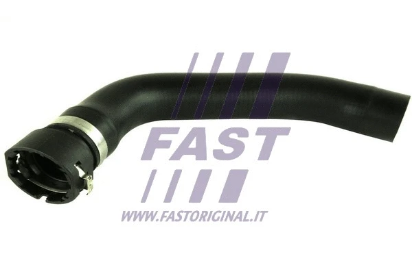 Radiator Hose (FT61941)