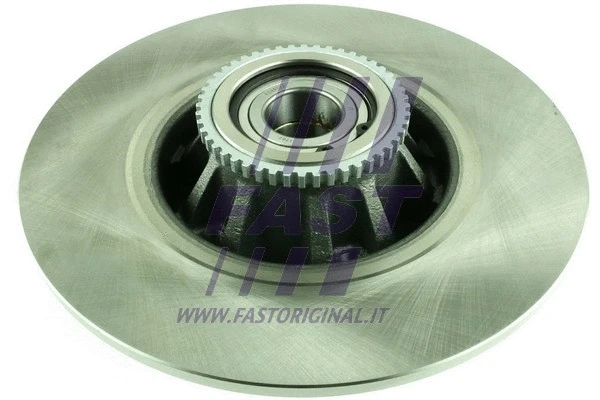 Brake Disc (FT31134)