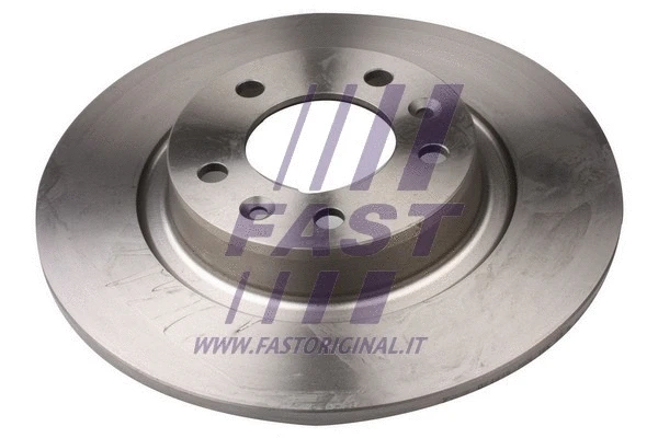 Brake Disc (FT31098)