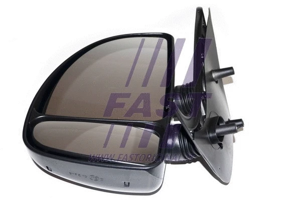 Exterior Mirror (FT88184)
