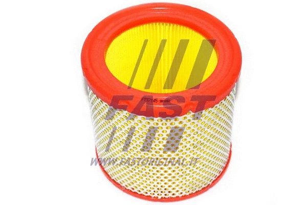 Air Filter (FT37145)