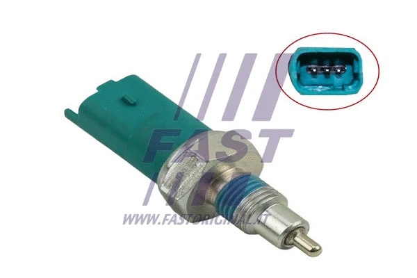 Switch, reverse light (FT81002)
