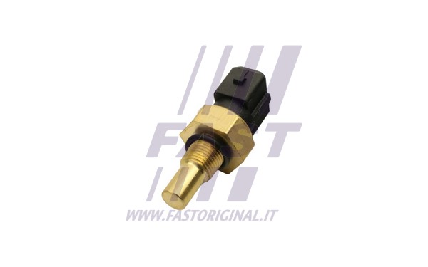 Sensor, coolant temperature (FT80161)
