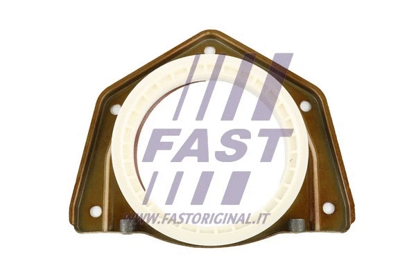 Shaft Seal, crankshaft (FT49711)
