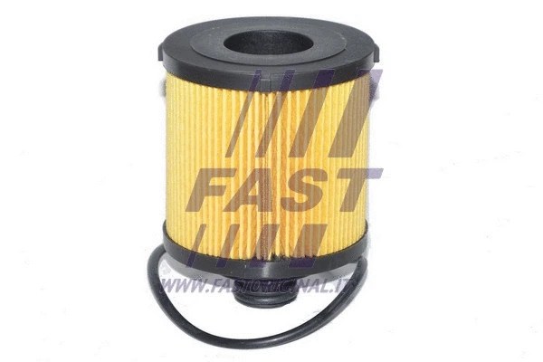 Oil Filter (FT38068)