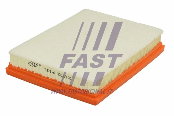 Air Filter (FT37176)