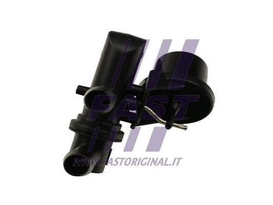 Radiator Hose (FT61990)